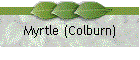Myrtle (Colburn)