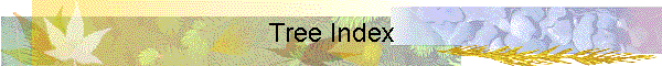 Tree Index