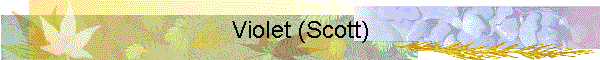 Violet (Scott)