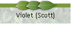 Violet (Scott)